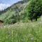 B&B B&Beautyfol Dolomites adults only - Predazzo
