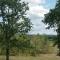 Cottage with swimming pool, pool house and view ! - Dévillac