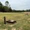 3 Bearly Working Luxury Tiny House Firepit Mins to Lake Guntersville - Guntersville