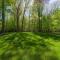 My Blue Haven - Shared lake access across the street! Glamorous home! - Fennville