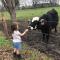 Relaxing farm retreat and cattle experience close to college golf and casinos - Scooba