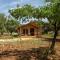 Domus Olea Glamping
