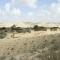 Negev Camel Ranch - Dimona