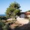 Pine and Olive Seahouse