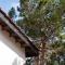 Pine and Olive Seahouse