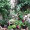 Relaxed garden apartment with Galilee sea view 1 - Safed