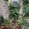 Relaxed garden apartment with Galilee sea view 1 - Safed