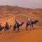 Berber & Camel Trek