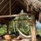 Wild Wasi Lodge - Adventures - Guided Tours - Puyo