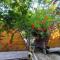 Litost Cafe - Adrasan
