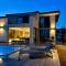 Villa with pool by the lake Mušovské jezero - 帕索尔维基