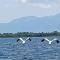 Holiday home Haustor with Skadar lake view