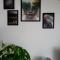 Apartament Dolina Baryczy Milicz