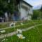 Riverstone Retreat