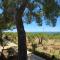 Studios Crete - Ferma