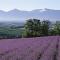 Lavender Breeze Furano - Shimo-furanoshigai