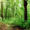Eco Complex Sherba