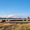 Top Paddock Silo Stay