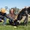 Badgers View Farmstay GREEN HORNET Cabin