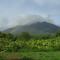 Finca Montaña Sagrada