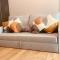Bandol A Bandol cha cha cha - Appartement - 邦多勒