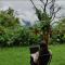 Astraal Resorts and Spa