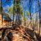 Luxury Mountain View Cabin Near Asheville NC