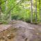 Restored 1800s Buchanan Log Cabin on 9-Mile Creek! - Reba