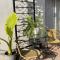 Green Garden Guest House