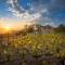 Villa Cavalleria Rusticana with heated pool and vineyard - Blizna Donja