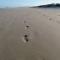 Peregian Beach, Noosa Shire Qld Aus