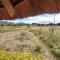 MARK's farm & ecolodge - Kalenga