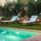 Villa Matilde, with Private Pool on the Lucca Hills - Capannori