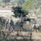 Bushbuck Rest - Marloth Park