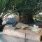 Bushbuck Rest - Marloth Park