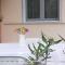 Alex house Thassos