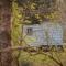 Bamff Ecotourism