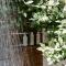 Villa Marguerita by WB Abodes