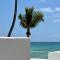 Pelicano Inn Playa del Carmen - Beachfront Hotel - Playa del Carmen