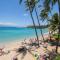 Napili Bay Steps from Ocean! nb204 - Sullivan - Kahana