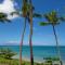 Ocean front remodeled corner unit w/ ac - sk234 - Kahana