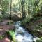 Sunny Mountain Temple in Mill Valley 17 min to SF - Mill Valley