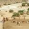 Negev Camel Ranch - Dimona