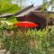 Nan Seasons Boutique Resort