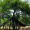 Yala Village Eco Tree House - Tissamaharama