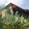 Sarga Earthing Resort