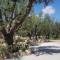 Olive Grove private residence - Lithakia