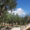 Olive Grove private residence - Lithakia