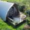 Creative Art Cabin, Causeway Coast, beach 10 mins