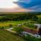 VINEA PANONIKA wine & mind retreat